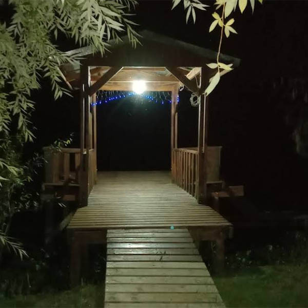 La Dorotea 9